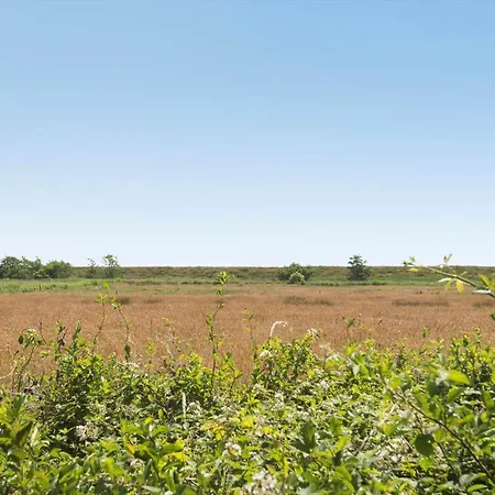 0163-romo-havnebyvej-5 Bolilmark